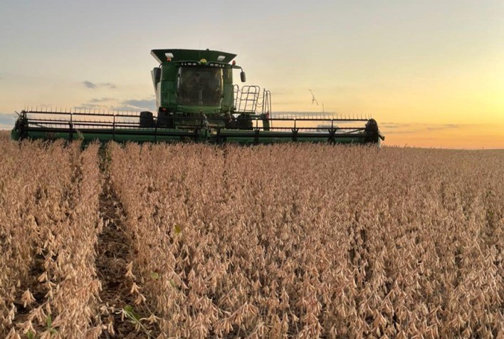 Colheita de soja em Mato Grosso revela desafios com produtividade inferior, indica instituto