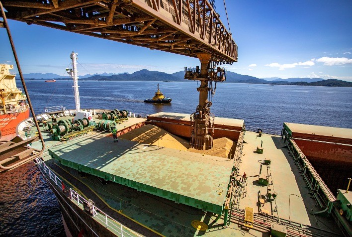 Exportação de soja do Brasil em Feb/24 apresenta leve redução, indica Anec