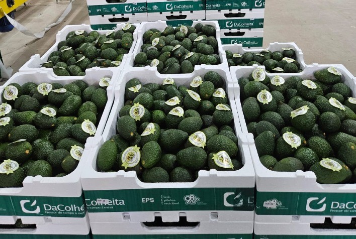 Embalagens FarmFresh ganham mercado acompanhando alta das exportações de frutas brasileiras em 2023