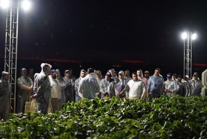 Sementes Batavo, da Frísia, apresenta as principais cultivares das maiores obtentoras de soja do Brasil