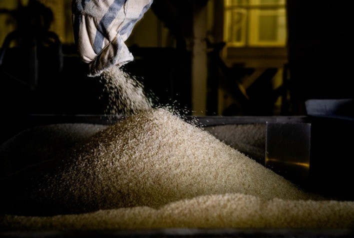 Equilíbrio global: preços do arroz buscam estabilidade