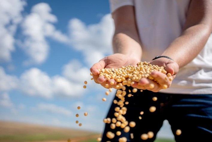 Agro brasileiro: projeções indicam produção de 390 milhões de toneladas de grãos no Brasil em 10 anos