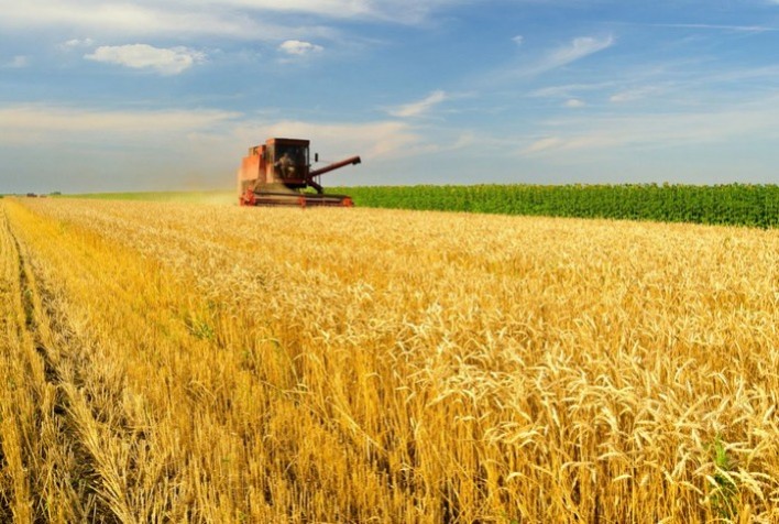 Tecnologia e inovação no agronegócio: conheça as tendências para o setor em 2024