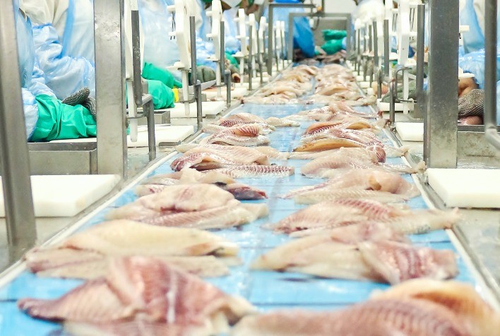 Faturamento de exportações da piscicultura brasileira cresce 4% em 2023