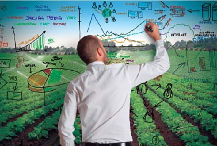 Estratégias de marketing na internacionalização de empresas agrícolas