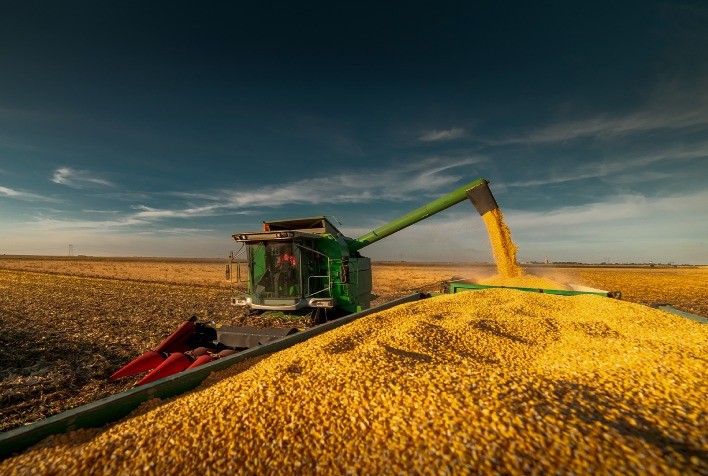 Comercialização de milho em Mato Grosso atinge 19%, mas ritmo é afetado por incertezas