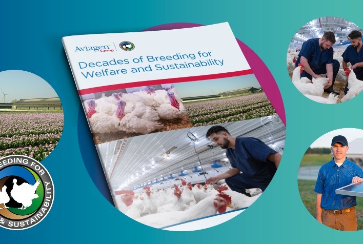 Em nova publicação, Aviagen destaca "Décadas de seleção genética para o bem-estar e a sustentabilidade"