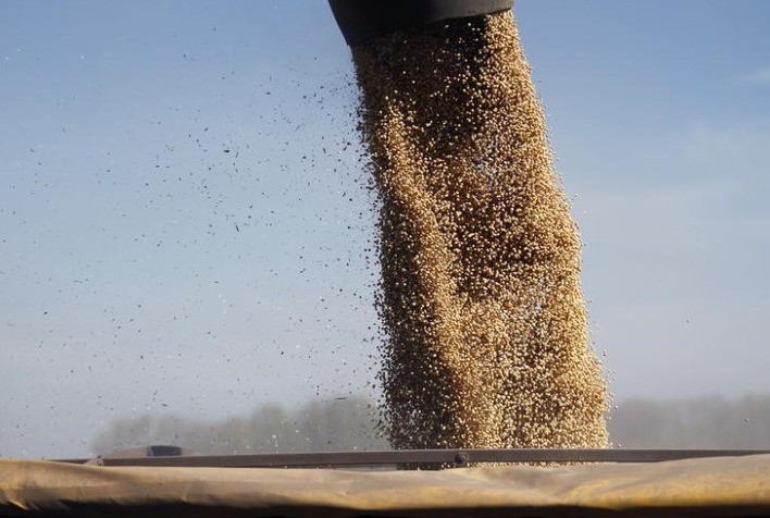 Mercados de Chicago e Nova York permanecem fechados devido ao feriado nos EUA; Soja pode encontrar alívio em nova semana de negociações