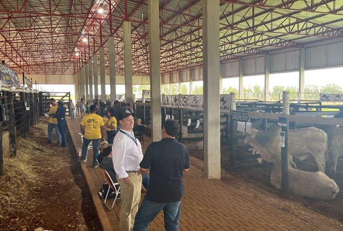 Sucesso da primeira Feira de Touros Pró-Genética do ano evidencia força da pecuária zebuína