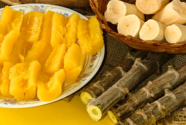 Estabilidade nas cotações de mandioca: Equilíbrio entre oferta e procura na última semana