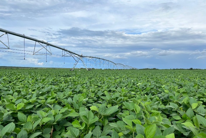 BMG Agro: Investimentos em recursos técnicos e tecnológicos criam cenário de equilíbrio em ano desafiante