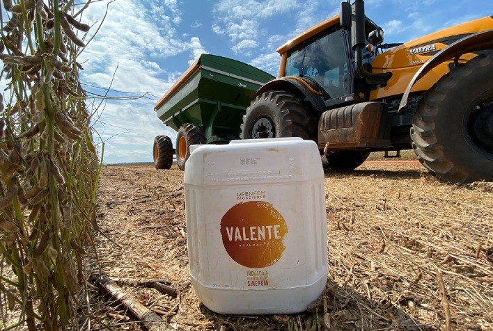 Inseticida resultante de química verde desponta como ferramenta potente frente à principal praga do milho