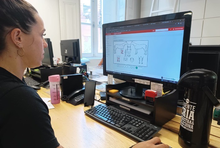 ANC lança ferramenta para consulta e registro genealógico de equinos