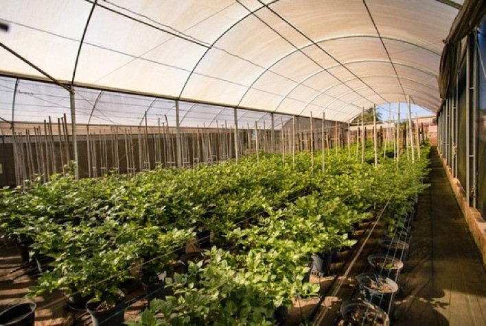 Inscrições abertas em seleção de prestadores de serviço para atuar no Programa Mais Gestão