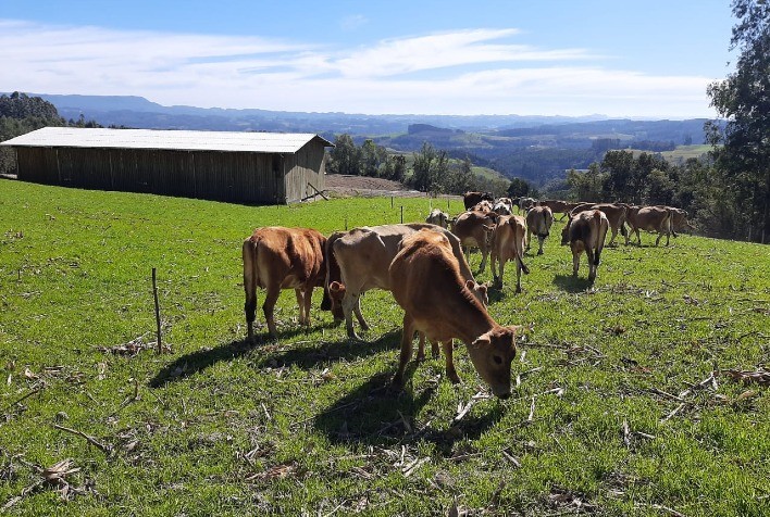 PNCF amplia possibilidades de financiamento e aquisição de imóveis rurais