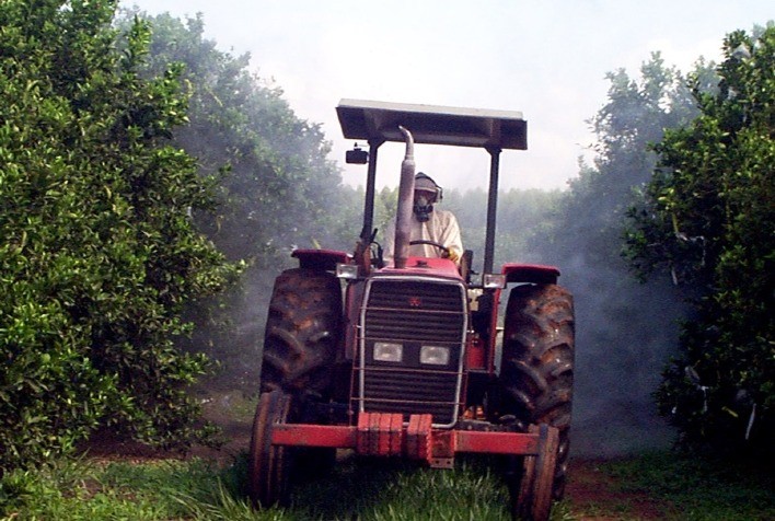 Estudo do programa IAC-Quepia avaliou exposição ocupacional na atividade de pulverização em citros