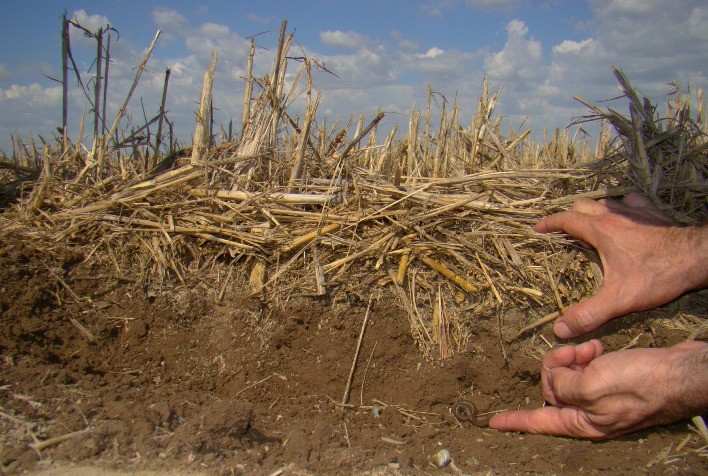 Conservação do solo ajuda a otimizar o gerenciamento da água na agricultura