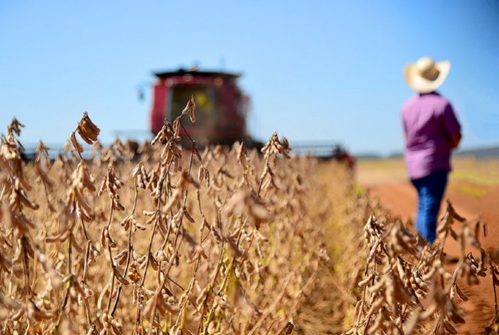 Cenário cauto no mercado brasileiro de soja aponta possível elevação nos preços