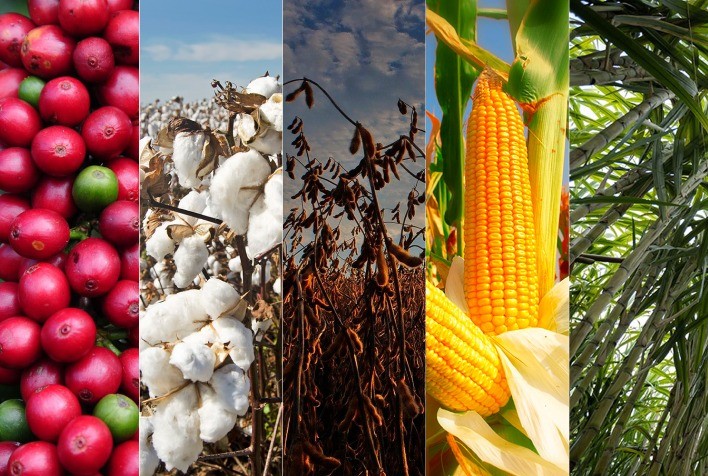 Pesquisa inédita: Estudo avalia nutrição em 5 culturas e apura movimentação acima de R$ 140 bilhões