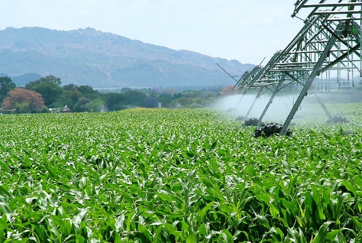 Agronegócio mineiro responde por 22% do PIB do Estado e soma 1.200 novas vagas com carteira em 2023