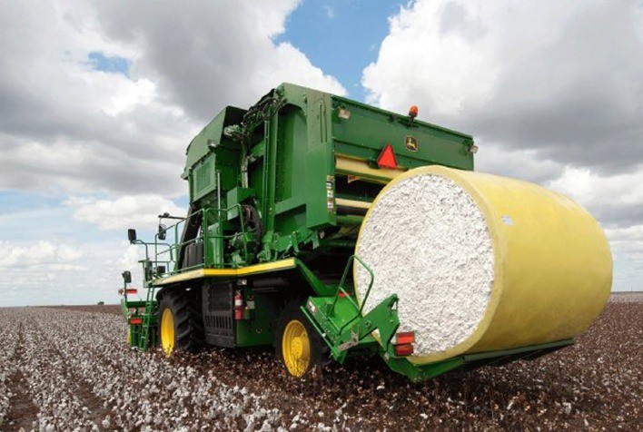 Aumento nos Preços da Pluma de Algodão reflete demanda ativa