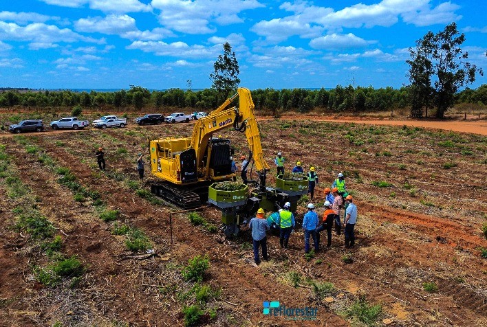 Mecanização é o caminho para a produtividade na silvicultura, afirma especialista da Reflorestar