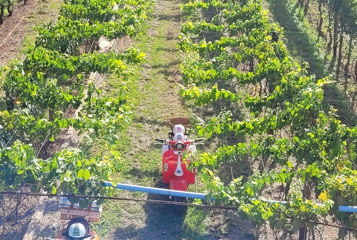 Enoturismo: Vinícola nos Altos Montes promove passeio de vespa pelos vinhedos
