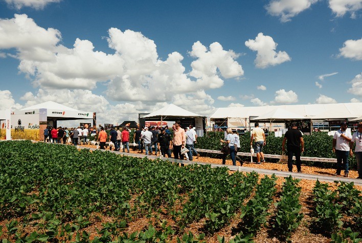 Tecnologia na adubação pode potencializar o rendimento do cultivo da Soja