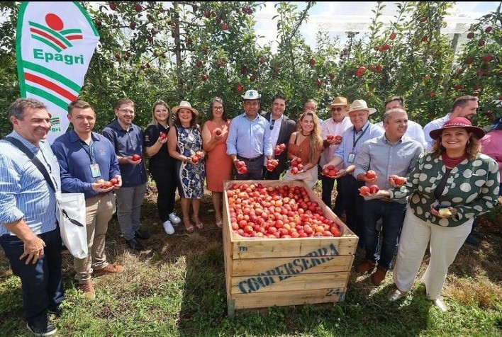 Mapa participa da abertura nacional da colheita da maçã em Santa Catarina