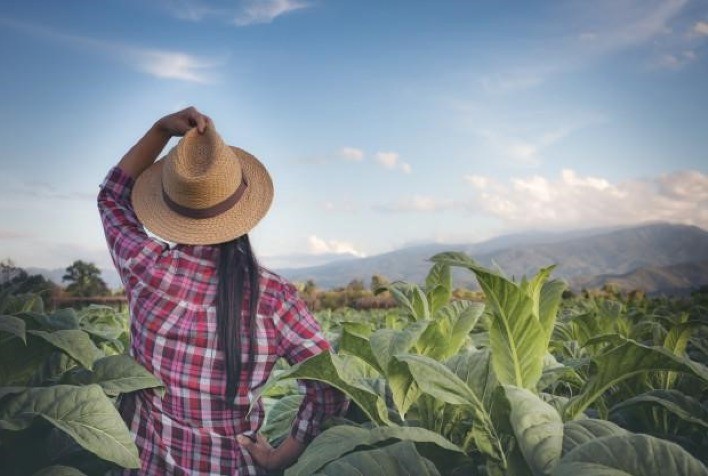 Conexão Mulheres do Agro destaca o protagonismo feminino nos negócios rurais
