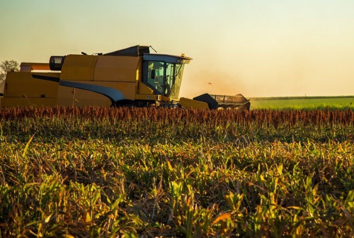 FAESP apresenta novas projeções para safra de grãos 2023/24