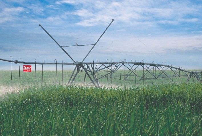 Manejo adequado da irrigação pode ampliar vida útil do canavial