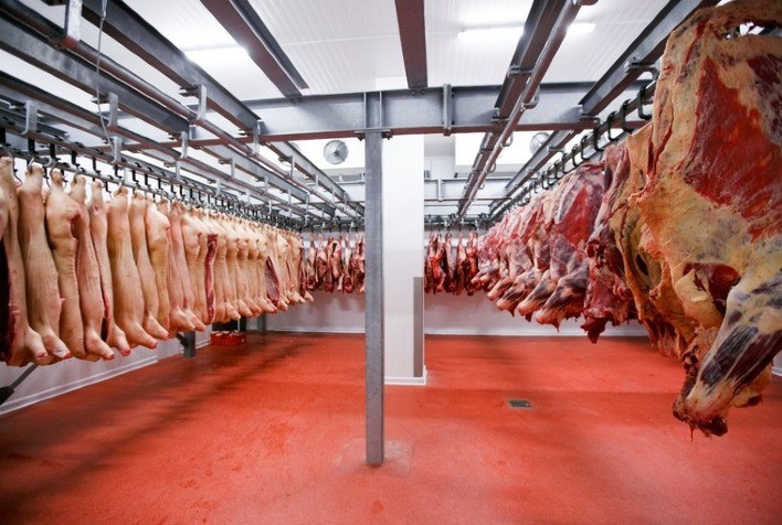 Desempenho exportador das carnes nas quatro primeiras semanas de fevereiro