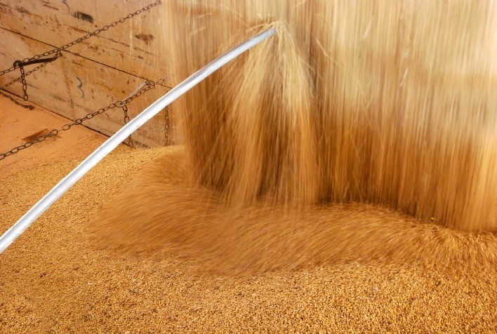 Produção de soja cresce cinco vezes em duas décadas no MATOPIBAPA