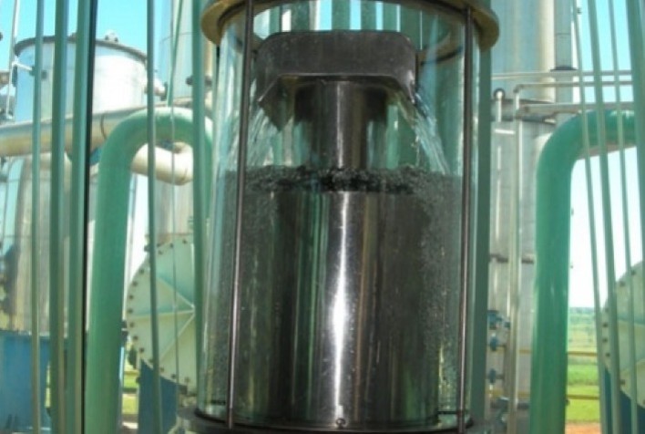 Argentina aprova leveduras GM para produção de etanol