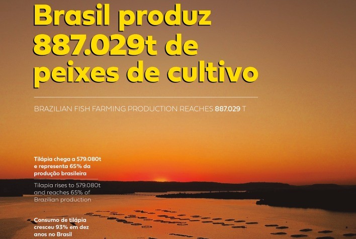 Piscicultura venceu adversidades e cresceu 3,1% em 2023