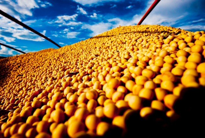 Mercado de soja é sacudido por incertezas econômicas