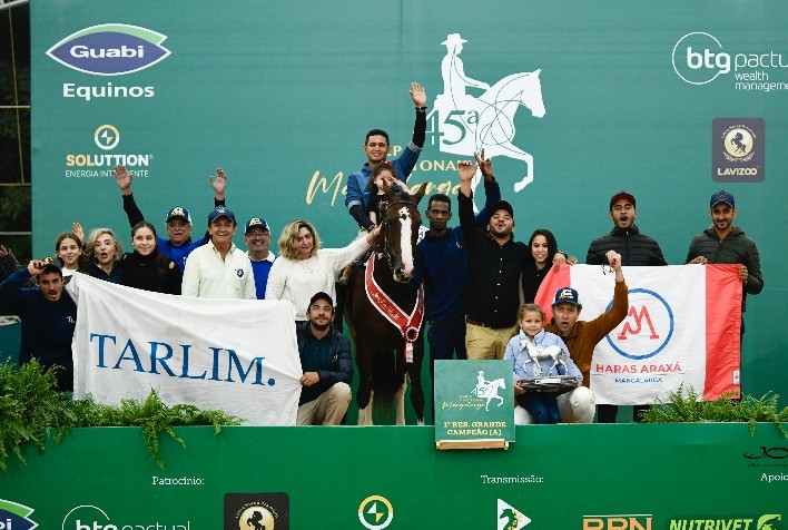 Berço da Equinocultura brasileira, São Paulo (SP) sediará leilão inédito de cavalos