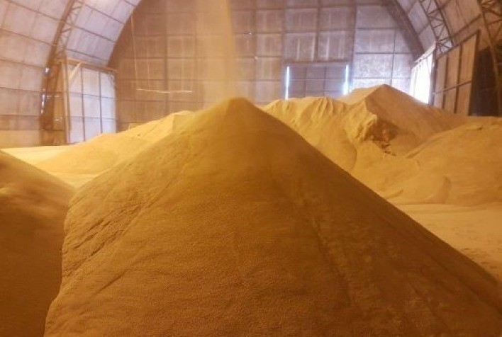 Farelo e Óleo de Soja: Preços sob Pressão com Perspectivas de Maior Oferta, Aponta Consultoria Agro do Itaú BBA