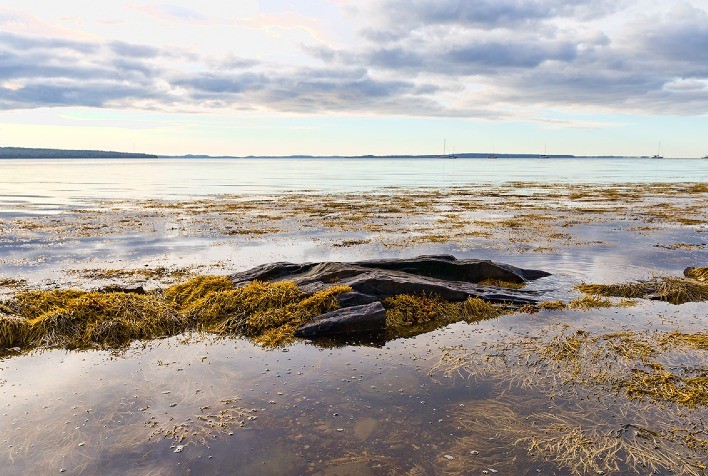 Biossoluções: alternativas sustentáveis para agricultores enfrentarem com sucesso mudanças climáticas