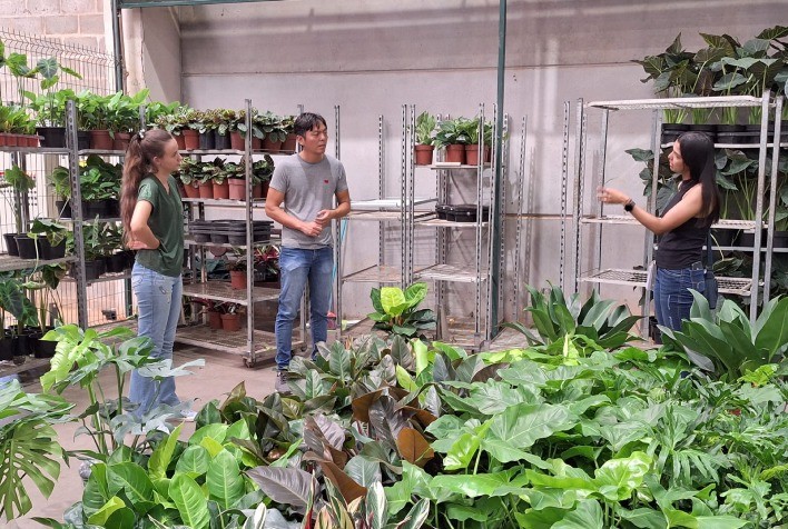 Dia Internacional da Mulher ganha relevância no calendário do setor e presença feminina cresce na produção de flores e plantas