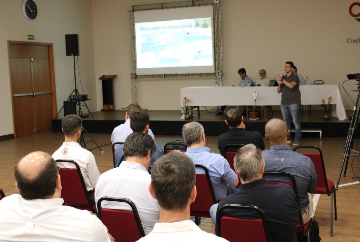 São Paulo enfrenta redução na área plantada de trigo em 2024