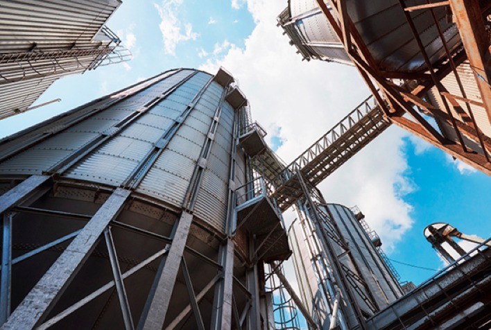 Cepa de levedura criada na USP produz etanol de segunda geração a partir de açúcares complexos