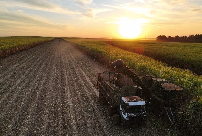 Expedição Custos Cana 2024: Queda nos custos da safra 2023/24 de cana-de-açúcar e o que esperar para o ciclo 2024/25