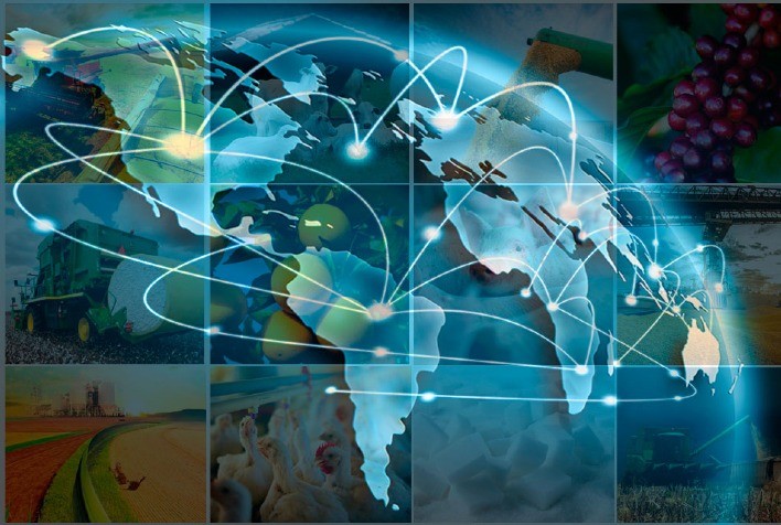 Subsídios agrícolas: Brasil x mundo