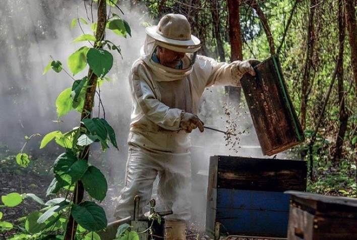 Apicultor de Itaporanga aumentou produção em mais de 200%