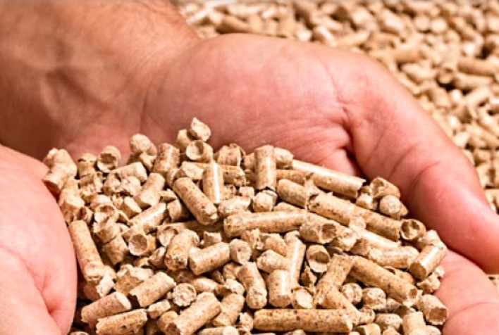 Produtores investem em tecnologia e conseguem reduzir custo da ração e impulsionar lucratividade e o desempenho dos animais