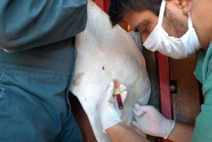 Defesa agropecuária: produtores devem atentar para as obrigações legais