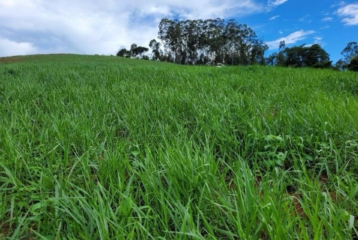 Emater-MG desenvolve projeto de recuperação de solo na Zona da Mata