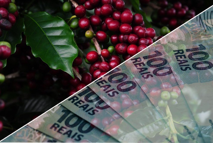 Cafeicultores têm acesso a crédito para custeio e capital de giro de maneira simples e 100% digital, e podem pagar com café